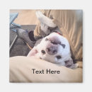 Search for ignoring Cute