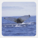 Search for newfoundland canada stickers Sea