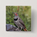 Search for colorado spring accessories Wood