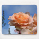 Search for rose macro electronics Nature