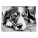 Search for border collie gift bags Animal