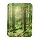 Recherche de l irlande magnets Forêt