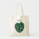 Search for monstera plant accessories Floral
