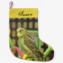 Search for keet Bird