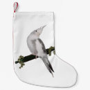 Recherche de white christmas stockings Animal