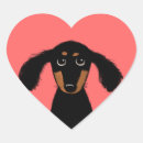 Search for long haired dachshund stickers Dog