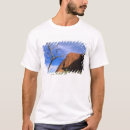 Recherche de monolithe vêtements Nature