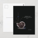 Recherche de éditeur cartes postales Pour tous