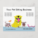Recherche de chaise cartes postales Soins aux animaux