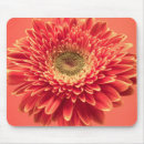 Search for red gerbera electronics Garden