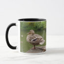 Search for brown duck mugs Wildlife