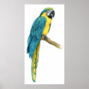 Recherche de perch posters Animal