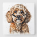 Search for cockapoo posters Brown