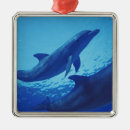 Search for mexico ornaments Swim