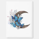 Search for butterfly magnets Butterflies