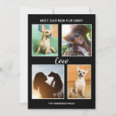 Recherche de fourrure invitations Photo de l'animal