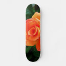 Search for rose flower skateboards Nature