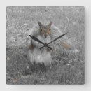 Search for gray squirrel art Cute