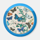 Recherche de aile bleue magnets Papillon