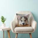 Search for corgi pillows Puppy