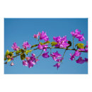 Recherche de méditerranéen posters Floral