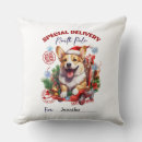 Search for corgi christmas pillows Winter