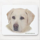 Search for lab mousepads Pet