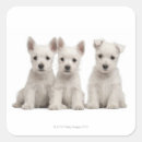 Search for weeks stickers Animal
