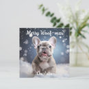 Search for frenchie christmas cards Snow
