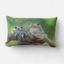 Search for frog pillows Cool