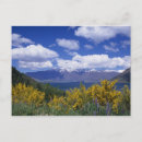 Search for remarks postcards Lake wakatipu