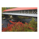Search for fall in new england posters No people