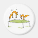 Recherche de renarde magnets Amusement