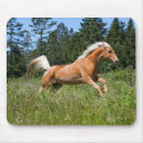 Recherche de palomino tapis souris Équin