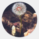 Search for abundant stickers Botanical