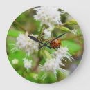 Recherche de ladybug horloges Nature