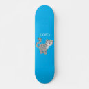 Recherche de neige skateboards Illustration