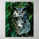 Search for athena posters Owl