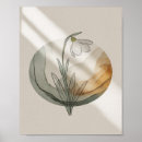 Search for luna moth art Butterfly