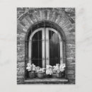 Search for black adam postcards Bw