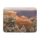 Search for steves cards Snow