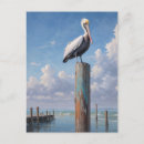 Search for pole postcards Wildlife