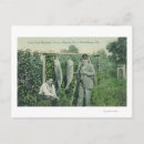 Search for fitch postcards Healdsburg