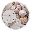 Search for sand dollar shell Tropical
