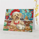 Search for dandy cards Dandie dinmont terrier