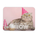 Recherche de cat magnets Photo du chat