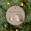Search for cute hedgehog ornaments Animals