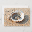Search for sea turtle cards Florida