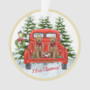 Search for truck ornaments Watercolor vintage red truck