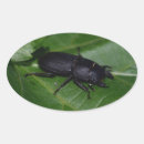 Search for lesser stickers Animal
